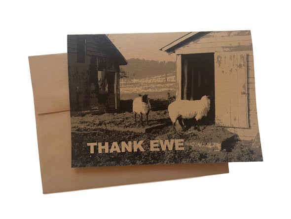 Thank Ewe set of 8 kraft note cards