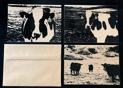 Cows Assorted set of 3 note card set - noteify