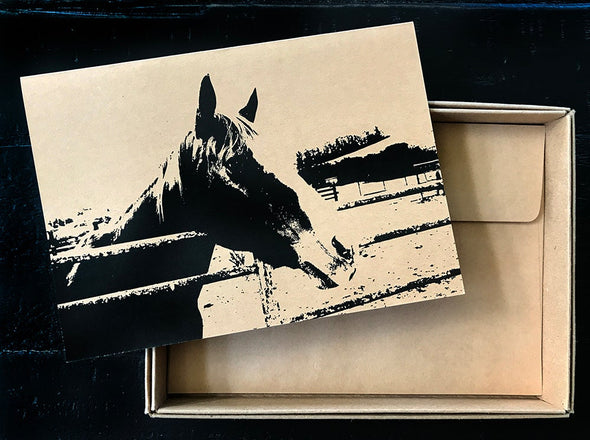 Farm Animal Assorted note card boxed set of 8 - noteify