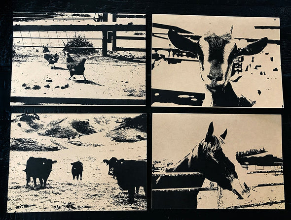 Farm Animal Assorted note card boxed set of 8 - noteify