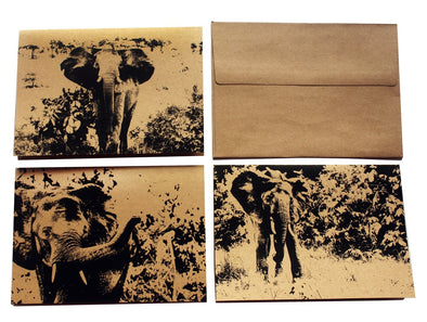 African Elephants assorted note card set of 3 - noteify