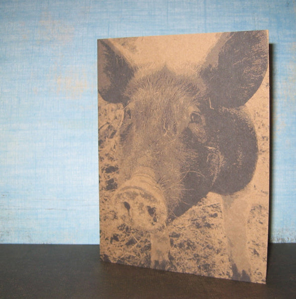 Pigs note card set - noteify